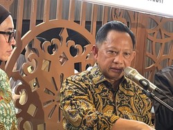 Mendagri Luruskan Isu Viral Warga Bangun Swadaya Jembatan Enang-Enang di Aceh