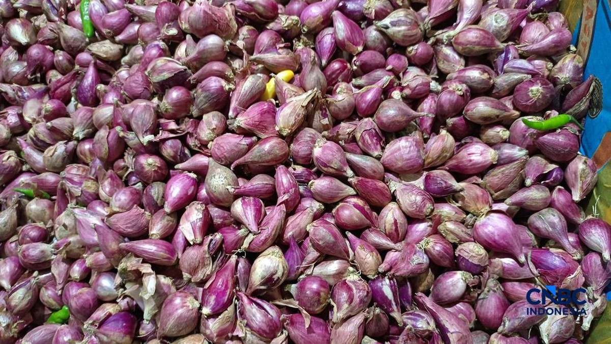 Harga Pangan di Jakarta Hari Ini: Cek Update Bawang Merah-Cabai Rawit