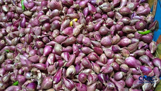 Harga Pangan Jakarta: Bawang Putih Naik Rp45.000, Cabai-Bawang Merah Normal
