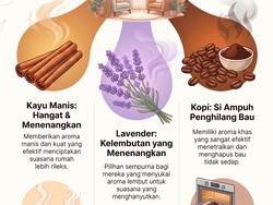 Infografis: Mau Rumah Wangi Tanpa Bahan Kimia? Coba 3 Bahan Alami Ini