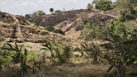 Kebakaran melanda Bukit Teletubbies di Semarang, Rabu (22/7). Penyebab diduga cuaca panas.
