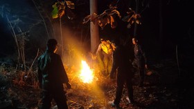 Kebakaran melanda kawasan hutan milik Perhutani di Petak 62 RPH Gangsiran, BKPH Sampung, KPH Madiun, Kecamatan Sampung, Kabupaten Ponorogo, Jawa Timur. Diduga peristiwa itu dipicu ulah orang tak dikenal (OTK).