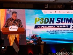 Airlangga Sebut Lokasi PFII Bisa Satu Wilayah dengan KEK