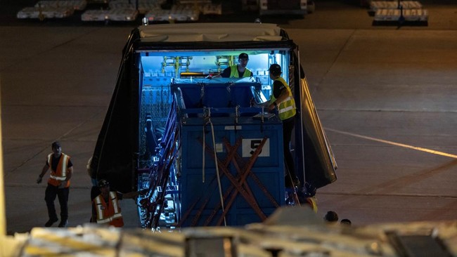 A cargo jet is loaded with one of several crates containing beluga whales, among the first batch of six to be transported to aquariums in the U.S. from the closed marine park Marineland Canada, at Toronto Pearson International Airport in Mississauga,