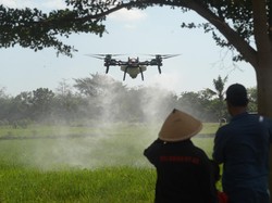 Gen Z Susah Cari Kerja, Pekerjaan Kuno Ini Punya Peluang Besar di Masa Depan