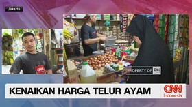 Update Kenaikan Harga Telur Ayam