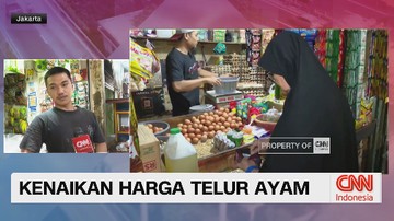 VIDEO: Update Kenaikan Harga Telur Ayam
