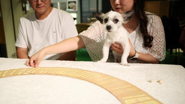 Ryu Su-mi and her dog E seul get a pet tarot reading at a pet tarot cafe in Seoul, South Korea, July 16, 2026.   REUTERS/Kim Hong-Ji
