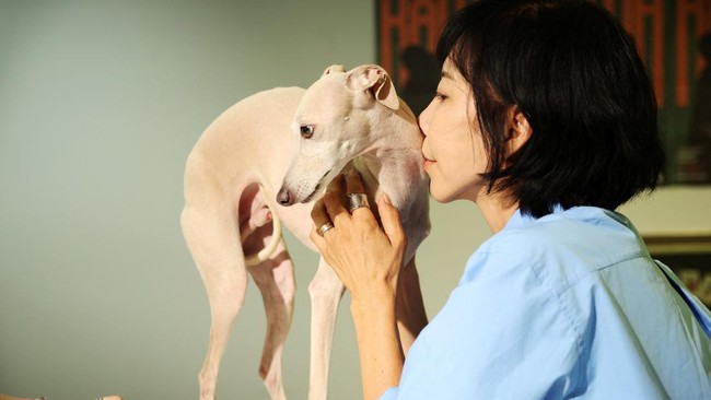 Ahn Hye-joo pets her dog Khan as she gets a pet tarot reading at a pet tarot cafe in Seoul, South Korea, July 16, 2026.   REUTERS/Kim Hong-Ji