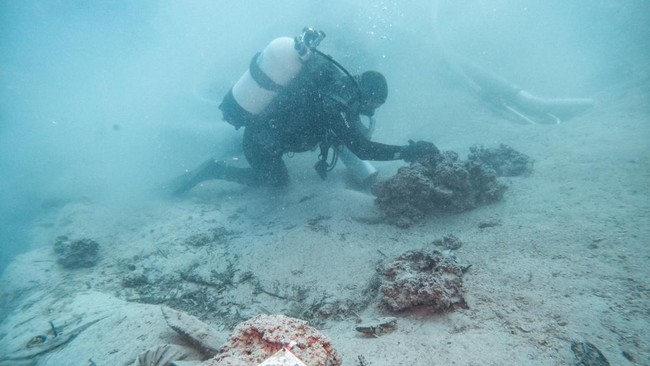 Seorang arkeolog bawah air sedang bekerja di lokasi bangkai kapal Bizantium di dekat Polace, Pulau Mljet, Kroasia, pada 20 Juli 2026. REUTERS/Antonio Bronic