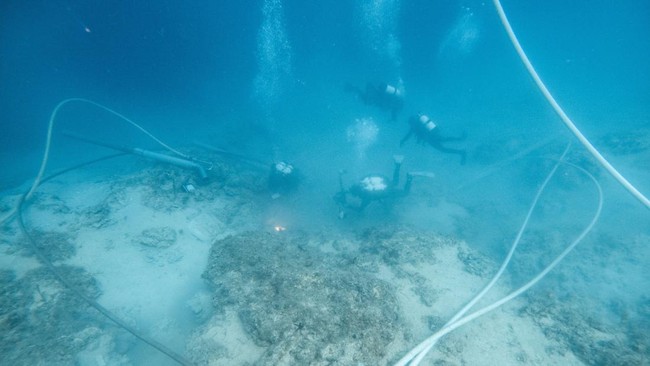 Para arkeolog bawah air sedang bekerja di lokasi bangkai kapal Bizantium di dekat Polace, Pulau Mljet, Kroasia, pada 20 Juli 2026. REUTERS/Antonio Bronic
