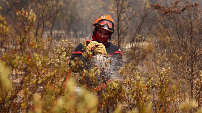 Kebakaran Hutan Melahap 1.700 Hektare di Prancis