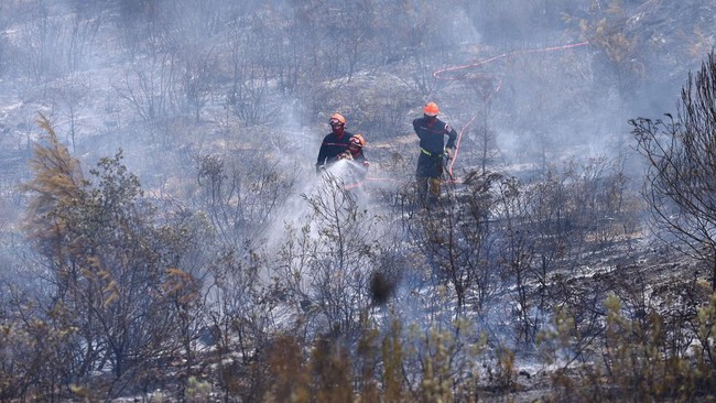 Kebakaran Hutan Melahap 1.700 Hektare di Prancis