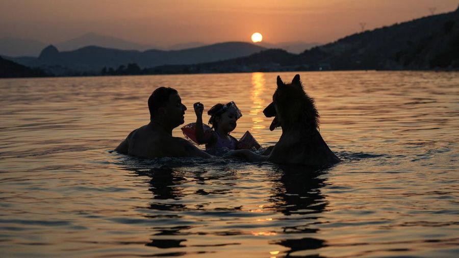 Sebuah family berbareng seekor anjing mendinginkan diri di tepi laut saat mentari terbenam, ketika gelombang panas musim panas pertama melanda Yunani, di Vivari, Peloponnese, Yunani, 22 Juli 2026.