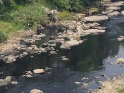 Air Sungai Cileungsi Menghitam Diduga Tercemar, Pemkab Bogor Turun Tangan