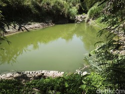 Sungai Babon Tercemar, DLH Demak Minta IPAL Pemotongan Ayam Diperbaiki