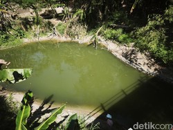 Air Sungai di Plamongansari Semarang Hitam dan Bau, Diduga Tercemar
