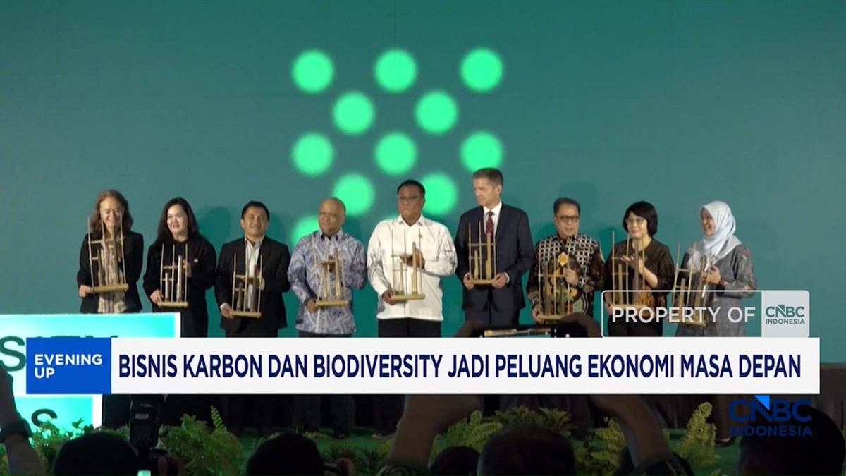 Video : Bisnis Karbon dan Biodiversity Jadi Peluang Ekonomi Masa Depan