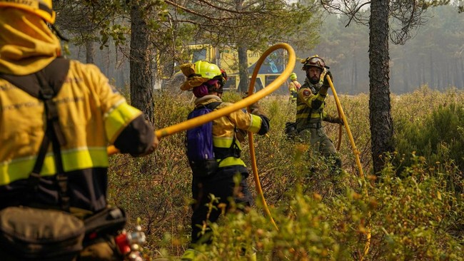 Darurat Nasional Kebakaran Hutan di Spanyol, 10.000 Warga Dievakuasi