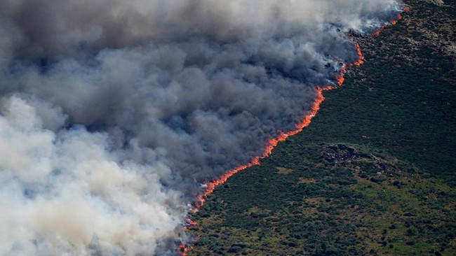 Darurat Nasional Kebakaran Hutan di Spanyol, 10.000 Warga Dievakuasi