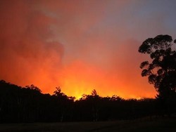 Bencana Kebakaran Hutan yang Bikin Australia Gelap