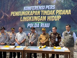 Polda Riau Ungkap Kasus Perusakan 118 Ha Mangrove di Rohil, 2 Pelaku Dijerat