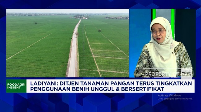 Video: Produksi Bisa Naik 2x, Kementan Ajak Petani Pakai Benih Unggul