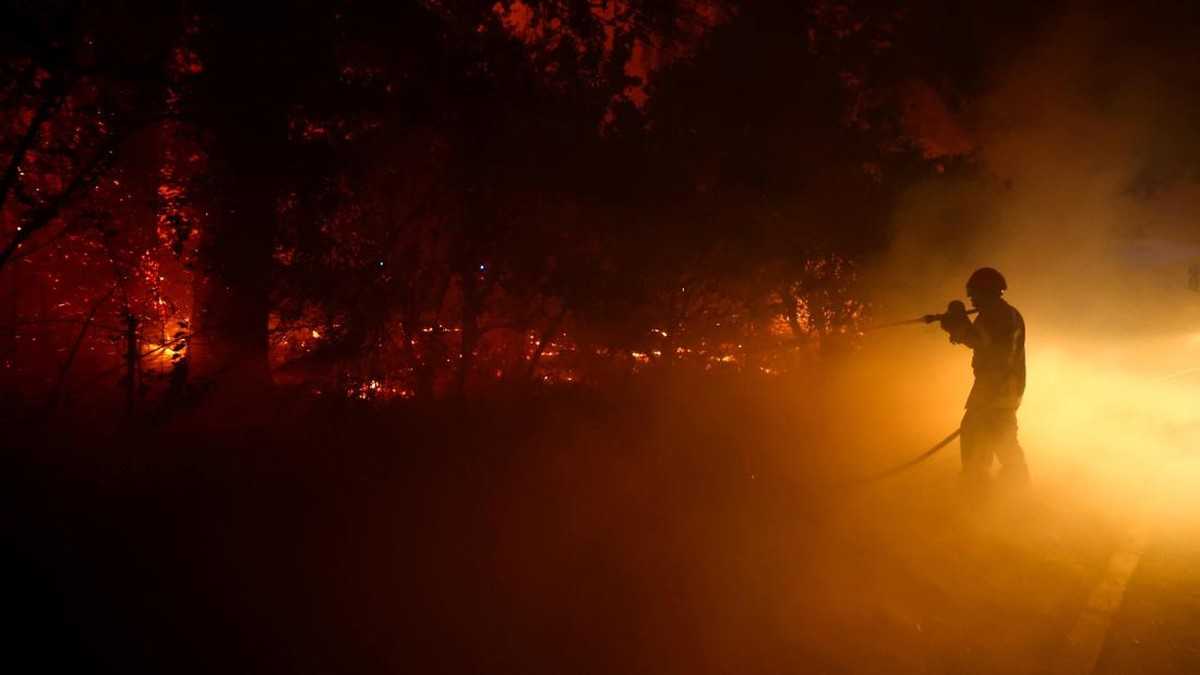 Ratusan Orang Ditangkap terkait Kebakaran Hutan, Motifnya Tak Terduga