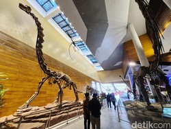 Tahir Solo Museum Dibuka Besok, Ada Fosil Dinosaurus 20 Meter!