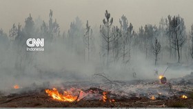 Kebakaran Hutan Ancam Bordeaux, 197 Ribu Warga Dievakuasi
