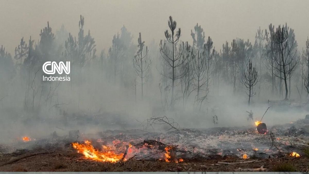 Kebakaran Hutan di Prancis, 197 Ribu Warga Dievakuasi