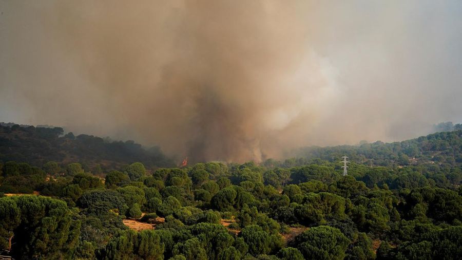 kebakaran rimba di San Martin de Valdeiglesias, Avila, Spanyol, Minggu (26/7/2026). (REUTERS/Ana Beltran)
