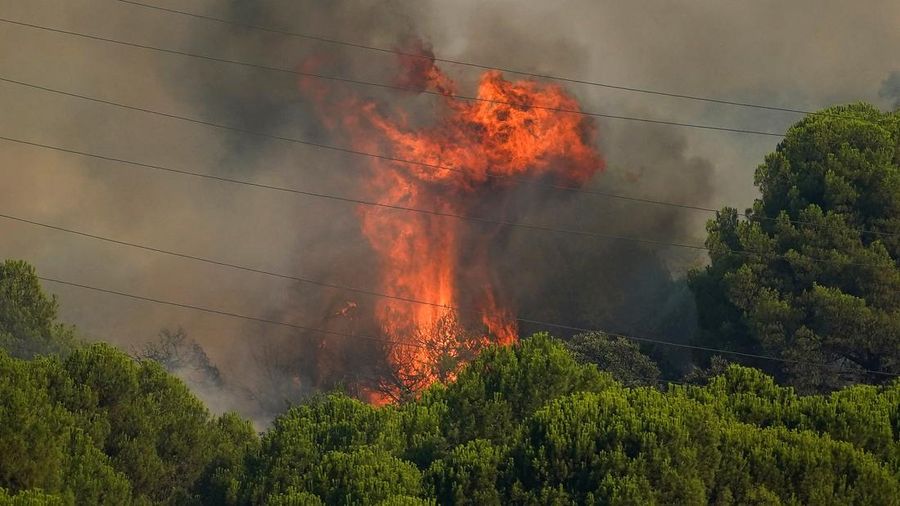 kebakaran rimba di San Martin de Valdeiglesias, Avila, Spanyol, Minggu (26/7/2026). (REUTERS/Ana Beltran)