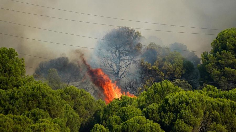 kebakaran rimba di San Martin de Valdeiglesias, Avila, Spanyol, Minggu (26/7/2026). (REUTERS/Ana Beltran)