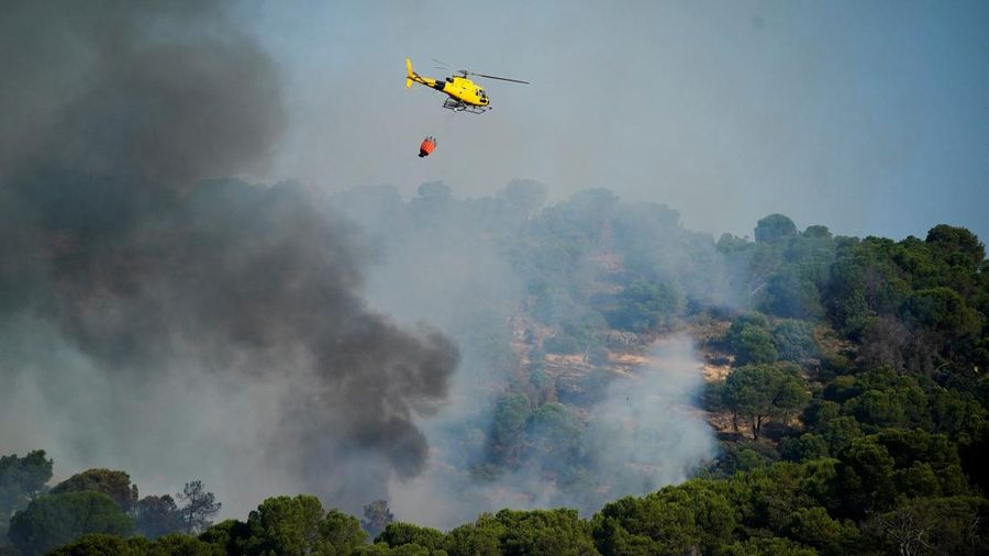 kebakaran rimba di San Martin de Valdeiglesias, Avila, Spanyol, Minggu (26/7/2026). (REUTERS/Ana Beltran)