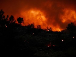 Kebakaran Hutan Meluas ke Wilayah Ibu Kota, Spanyol Umumkan Darurat Nasional