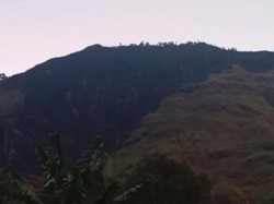 Kebakaran di Perbukitan Bromo Mulai Padam, Tinggal Tersisa 1 Titik Api