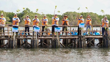 Hari Mangrove Sedunia 2026, KLH Ajak Masyarakat Tanam 1 Juta Mangrove