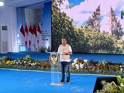 Indonesia Kehilangan 40% Mangrove Selama 3 Dekade