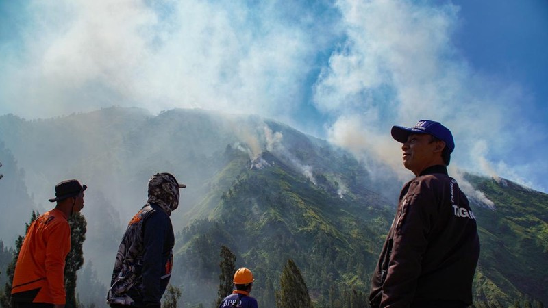 Petugas memantau titik kebakaran hutan di kawasan Perhutani RPH Sukapura, Blok Gunung Ringgit, Desa Sapikerep, Kecamatan Sukapura, Kabupaten Probolinggo, Jawa Timur, Sabtu (25/7/2026). Badan Penanggulangan Bencana Daerah (BPBD) Kabupaten Probolinggo