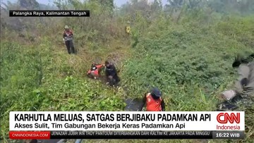 VIDEO: Karhutla Meluas di Palangka Raya, Satgas Berjuang Padamkan Api