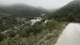 El Acebuchal
