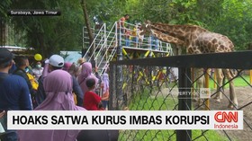 Hoaks Satwa Kurus Imbas Korupsi