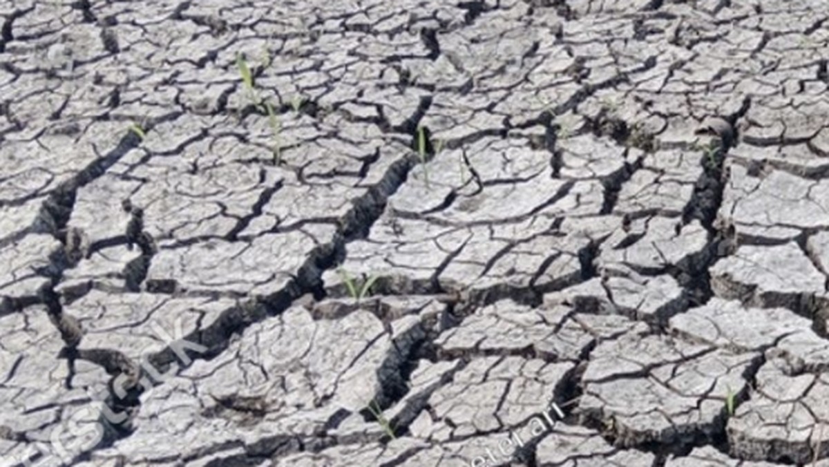 Sawah di Jawa-Sulawesi Selatan Sudah Kekeringan, Pemerintah Bisa Apa?