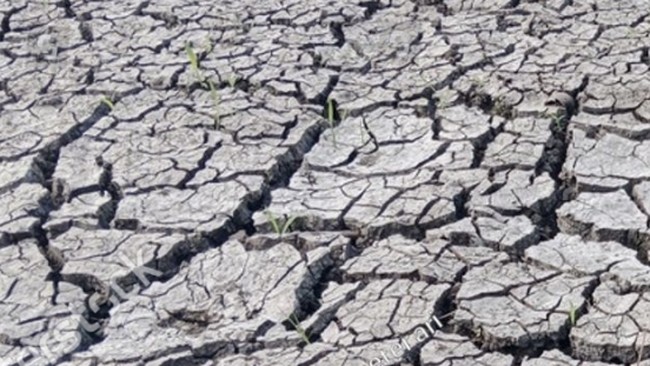 Sawah di Jawa-Sulawesi Selatan Sudah Kekeringan, Pemerintah Bisa Apa?