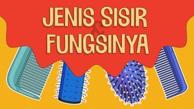 INFOGRAFIS: Jenis Sisir dan Fungsinya