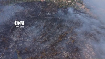 Kebakaran Hutan Melahap Gargano Italia, Ratusan Turis Dievakuasi