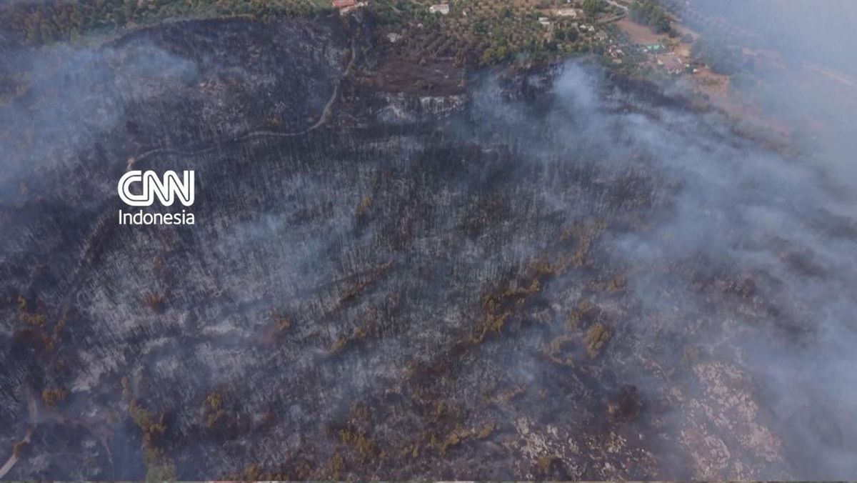 Kebakaran Hutan Melahap Gargano Italia, Ratusan Turis Dievakuasi