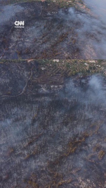 Kebakaran Hutan Landa Gargano Italia, 400 Wisatawan Dievakuasi