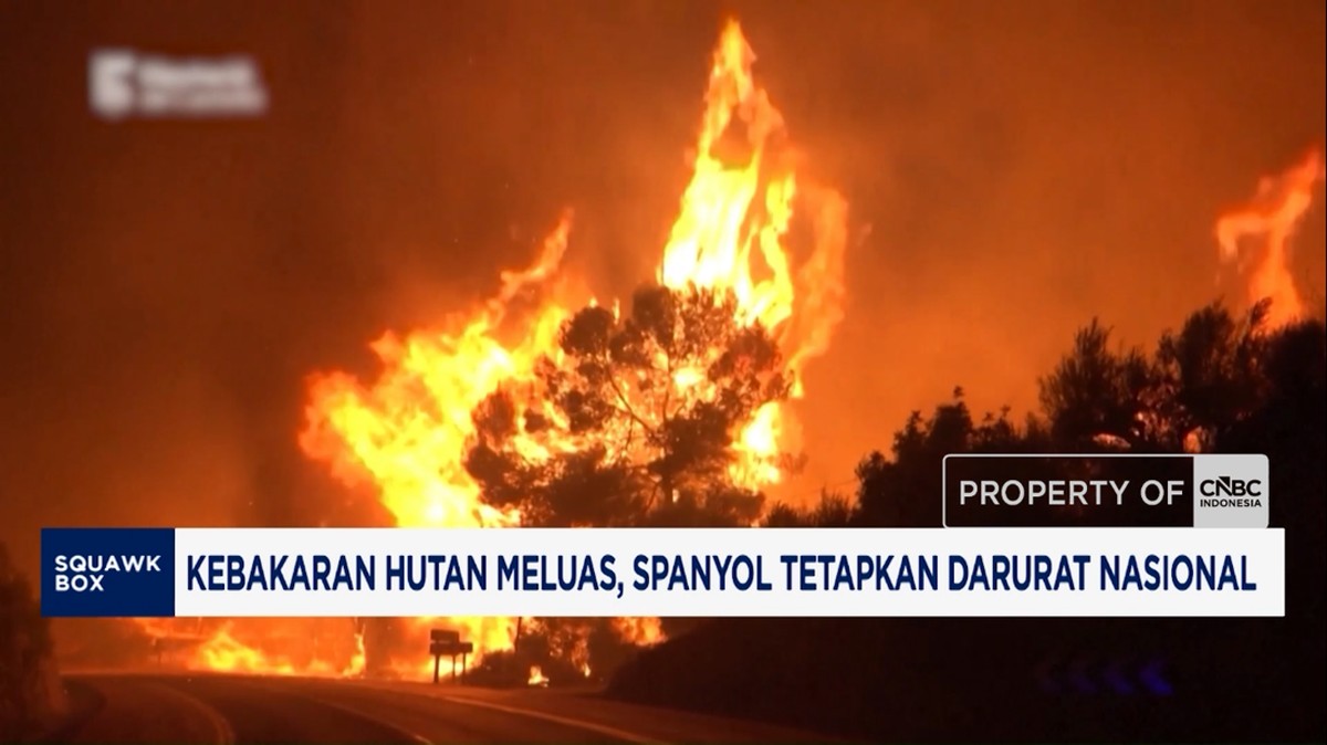 Video: Kebakaran Hutan Meluas, Spanyol Tetapkan Darurat Nasional